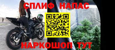 прущая мука Ачхой-Мартан