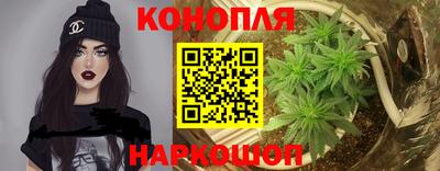 прущая мука Ачхой-Мартан