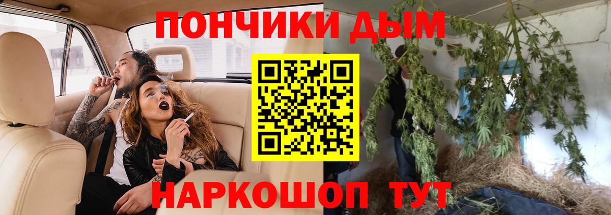 Бошки Шишки VHQ  Марихуана Amnesia  Советский  Конопля планчик  Вход с VPN 